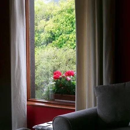 Abbey View B&B 골웨이